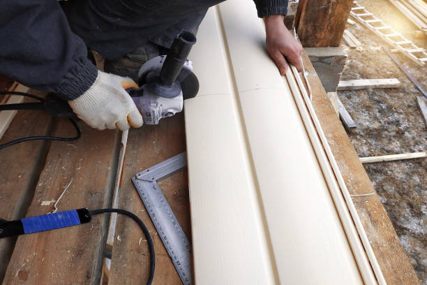 Best Aluminum Siding Installation  in Radium Springs, NM